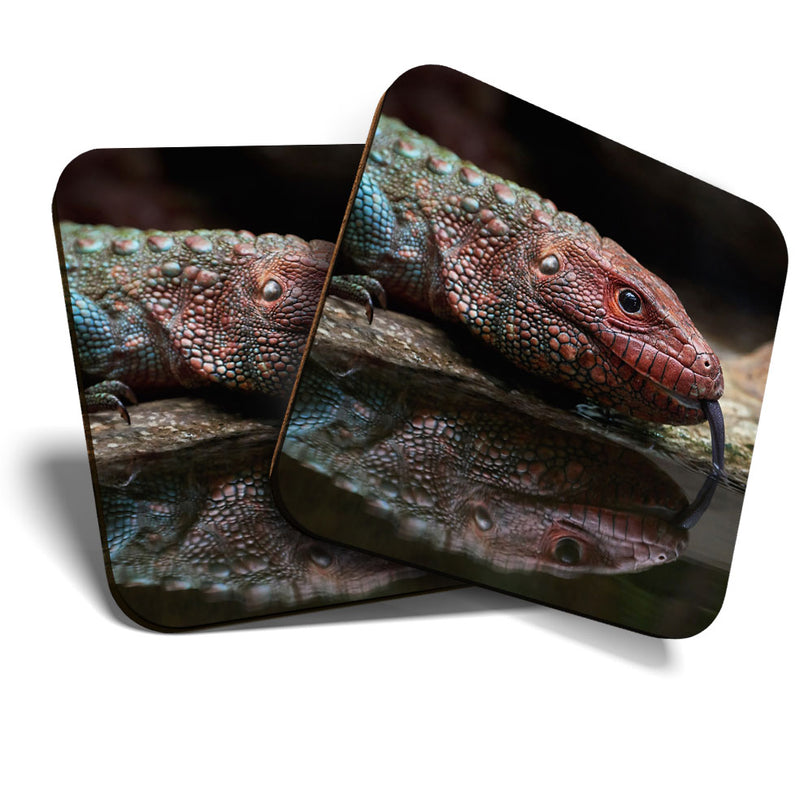 Great Coasters (Set of 2) Square / Glossy Quality Coasters / Tabletop Protection for Any Table Type - Red Northern Caiman Lizard