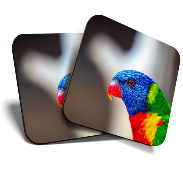 Great Coasters (Set of 2) Square / Glossy Quality Coasters / Tabletop Protection for Any Table Type - Pretty Colourful Parrot Coaster  #3551