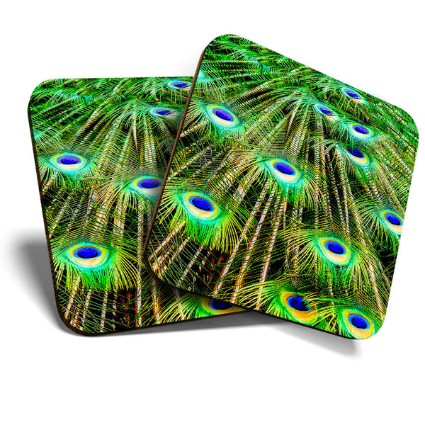 Great Coasters (Set of 2) Square / Glossy Quality Coasters / Tabletop Protection for Any Table Type - Peacock Tail Feathers Bird  #3561