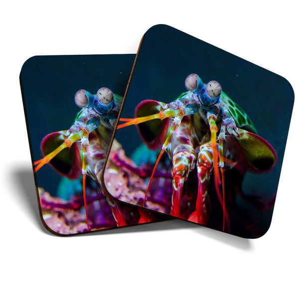 Great Coasters (Set of 2) Square / Glossy Quality Coasters / Tabletop Protection for Any Table Type - Peacock Mantis Shrimp Diving  #3562