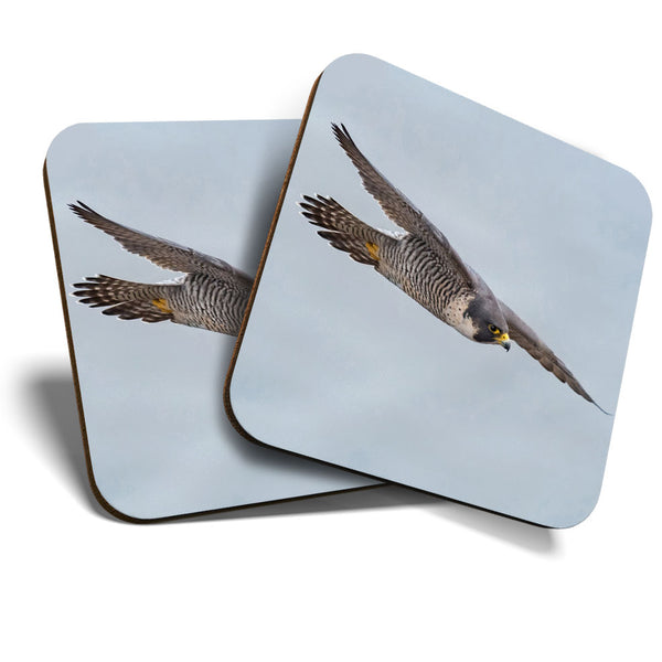Great Coasters (Set of 2) Square / Glossy Quality Coasters / Tabletop Protection for Any Table Type - Peregrine Falcon New Jersey  #3564