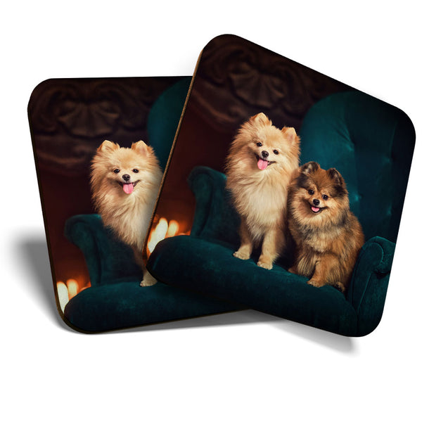 Great Coasters (Set of 2) Square / Glossy Quality Coasters / Tabletop Protection for Any Table Type - Cute Pomeranian Dogs Animals  #3576