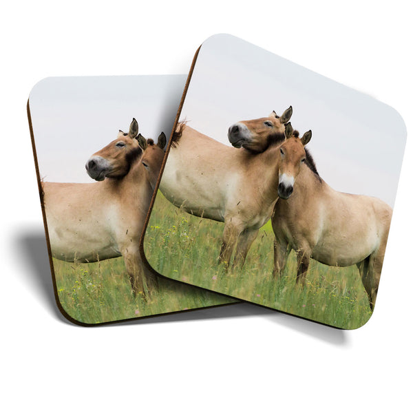 Great Coasters (Set of 2) Square / Glossy Quality Coasters / Tabletop Protection for Any Table Type - Przewalski's Horses Riding  #3584