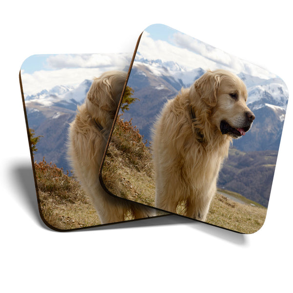 Great Coasters (Set of 2) Square / Glossy Quality Coasters / Tabletop Protection for Any Table Type - Cute Pyrenees Mountain Dog  #3592