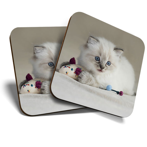 Great Coasters (Set of 2) Square / Glossy Quality Coasters / Tabletop Protection for Any Table Type - Pretty Ragdoll Cat Kitten  #3598