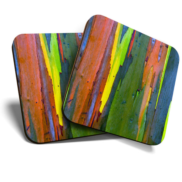 Great Coasters (Set of 2) Square / Glossy Quality Coasters / Tabletop Protection for Any Table Type - Rainbow Eucalyptus Tree Bark  #3599
