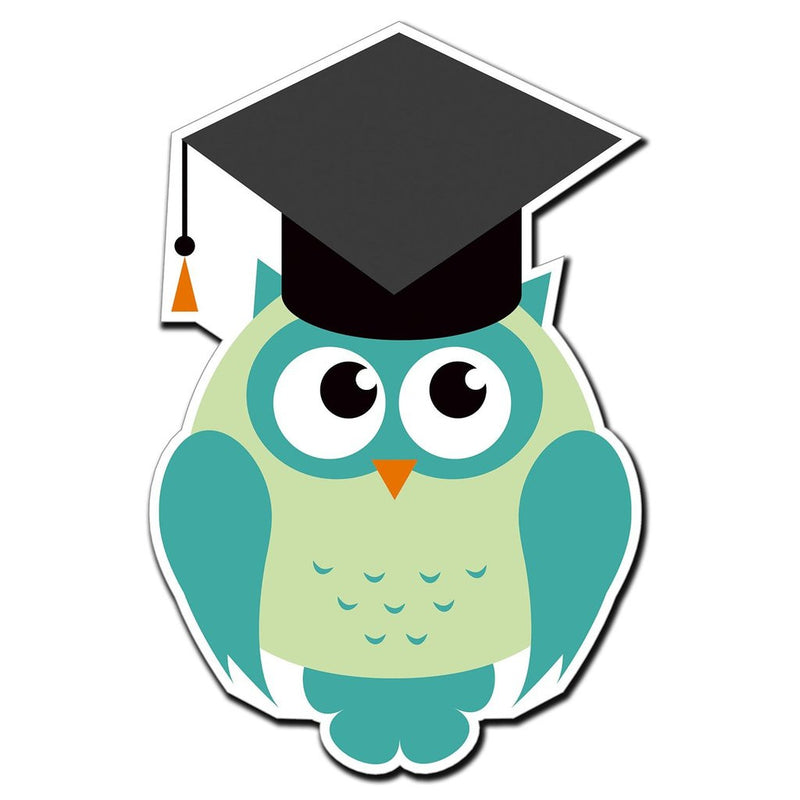 2 x Graduation Owl Gift Graduate Vinyl Sticker