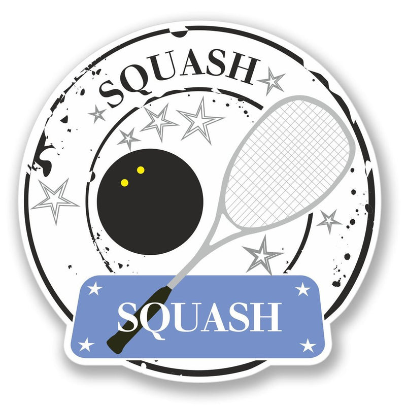 2 x Squash Player Vinyl Sticker