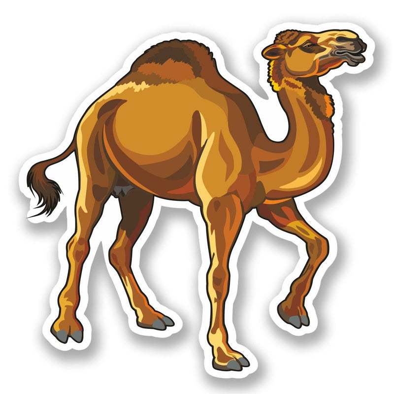 2 x Camel Vinyl Sticker
