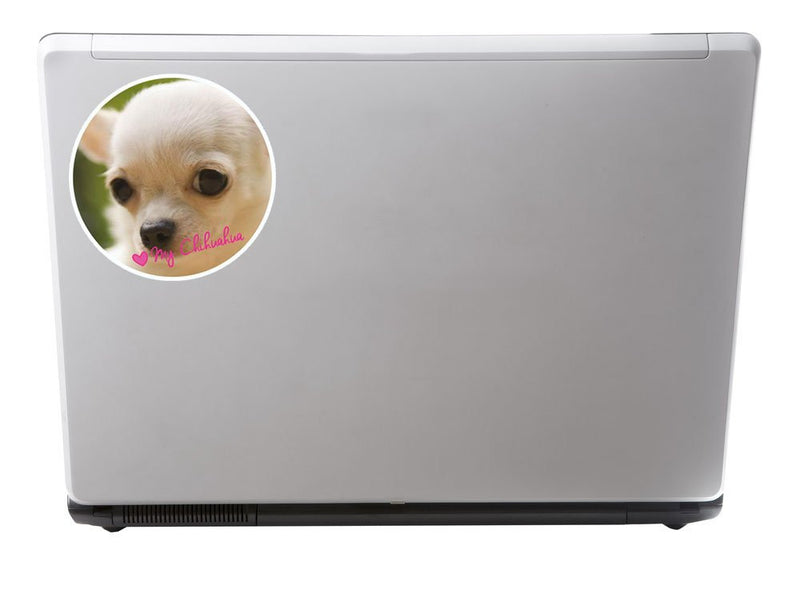 2 x Pretty Chihuahua Dog Vinyl Sticker
