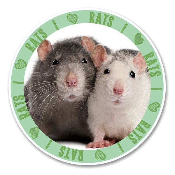 2 x I Love Rats Vinyl Sticker #6142
