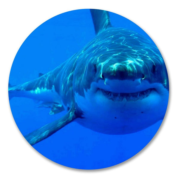 2 x Great White Shark Vinyl Sticker #6204