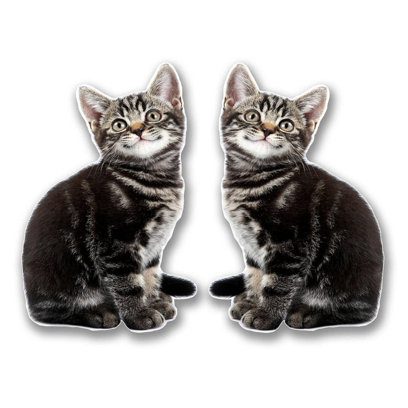 2 x Smiling Kitten Cat Vinyl Sticker