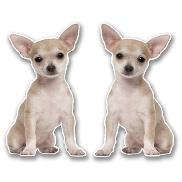2 x Chihuahua Vinyl Sticker #6303