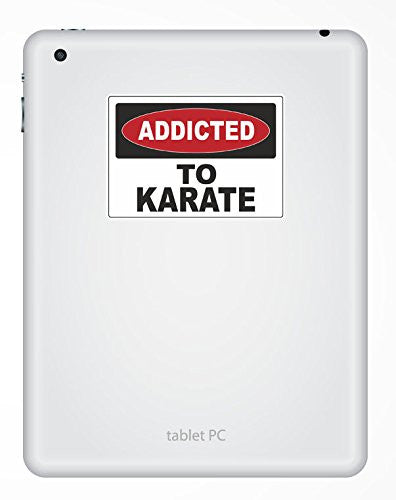 2 x Addicted to Karate Vinyl Sticker