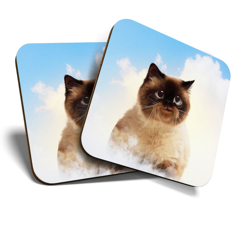 Great Coasters (Set of 2) Square / Glossy Quality Coasters / Tabletop Protection for Any Table Type - Cute Happy Cat Kitten Funny