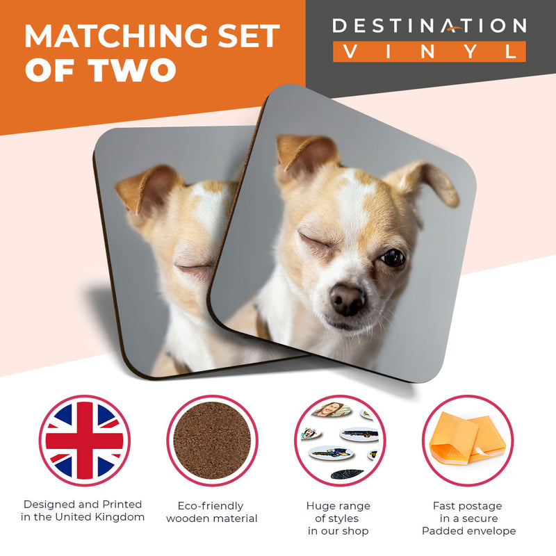 Great Coasters (Set of 2) Square / Glossy Quality Coasters / Tabletop Protection for Any Table Type - Funny Winking Chihuahua Dog Puppy