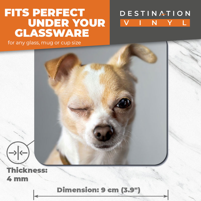 Great Coasters (Set of 2) Square / Glossy Quality Coasters / Tabletop Protection for Any Table Type - Funny Winking Chihuahua Dog Puppy