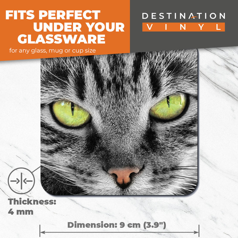 Great Coasters (Set of 2) Square / Glossy Quality Coasters / Tabletop Protection for Any Table Type - Beautiful Green Eyed Cat Kitten