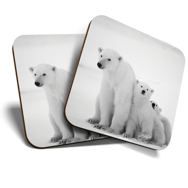 Great Coasters (Set of 2) Square / Glossy Quality Coasters / Tabletop Protection for Any Table Type - Mum & Cubs Polar Bear Baby Animal