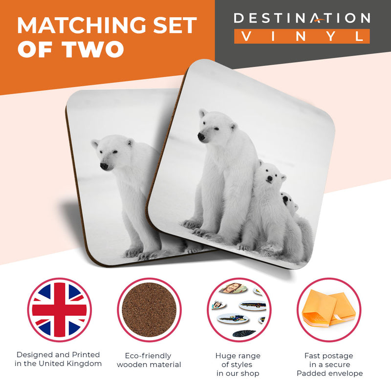 Great Coasters (Set of 2) Square / Glossy Quality Coasters / Tabletop Protection for Any Table Type - Mum & Cubs Polar Bear Baby Animal