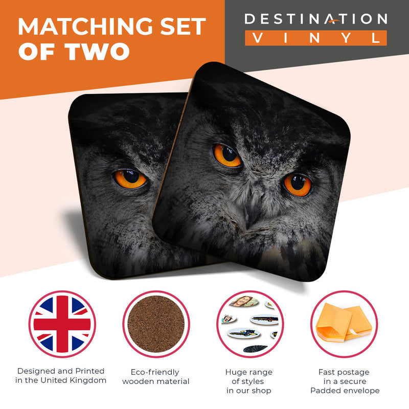 Great Coasters (Set of 2) Square / Glossy Quality Coasters / Tabletop Protection for Any Table Type - Beautiful Owl Eyes Bird Owls
