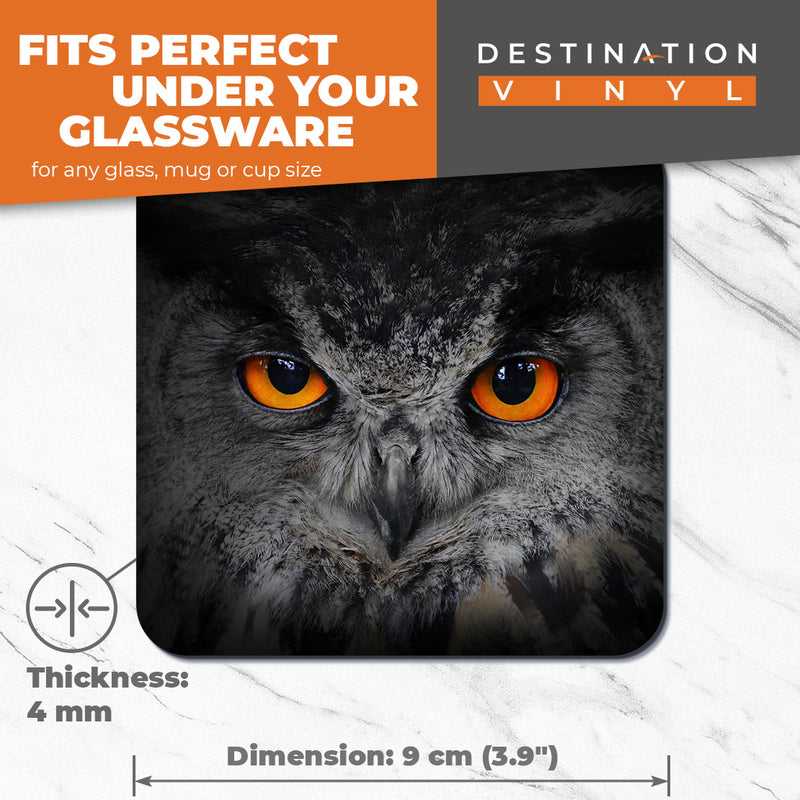 Great Coasters (Set of 2) Square / Glossy Quality Coasters / Tabletop Protection for Any Table Type - Beautiful Owl Eyes Bird Owls
