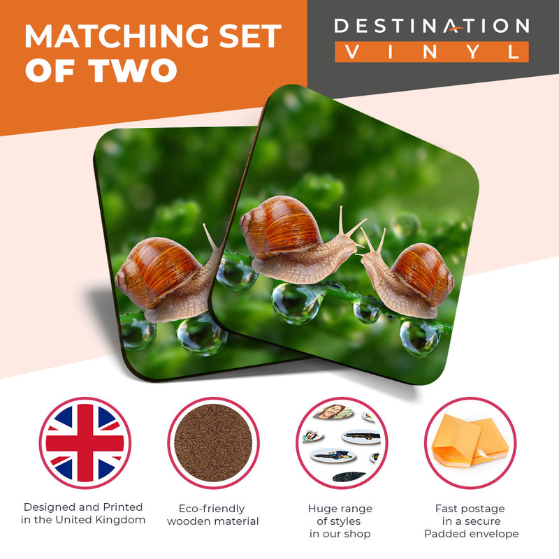 Great Coasters (Set of 2) Square / Glossy Quality Coasters / Tabletop Protection for Any Table Type - Kissing Snails Cute Kiss Snail