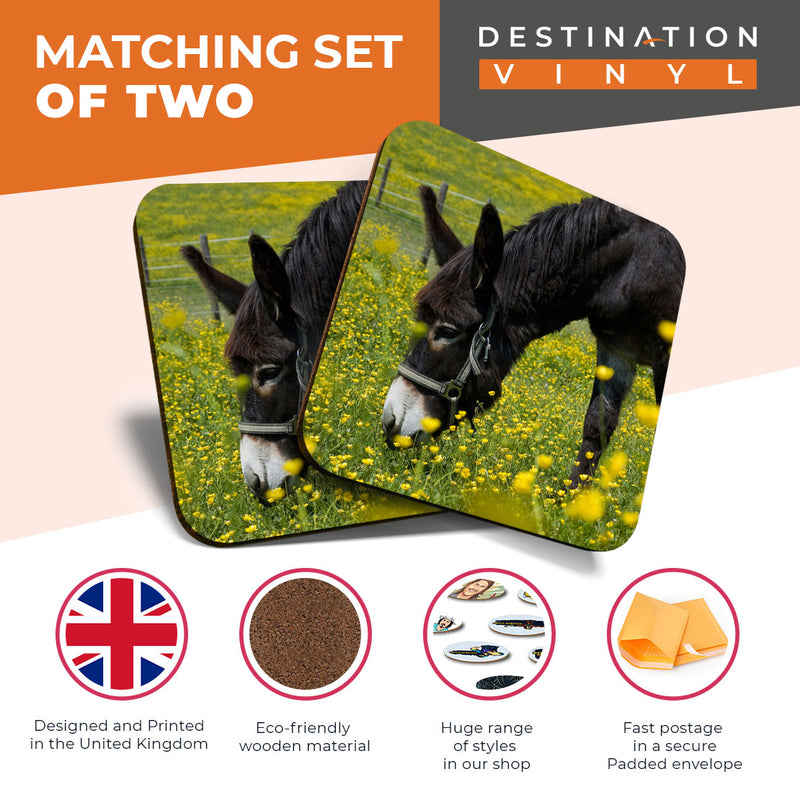 Great Coasters (Set of 2) Square / Glossy Quality Coasters / Tabletop Protection for Any Table Type - Little Cute Donkey Horse Animals Cool