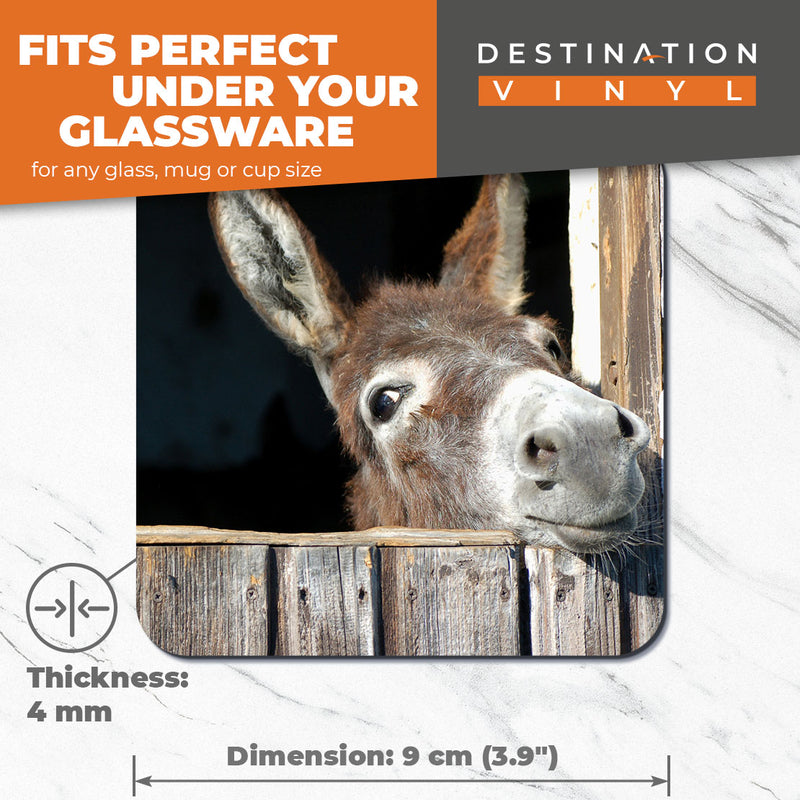 Great Coasters (Set of 2) Square / Glossy Quality Coasters / Tabletop Protection for Any Table Type - Funny Cute Donkey Animal Horse Wild