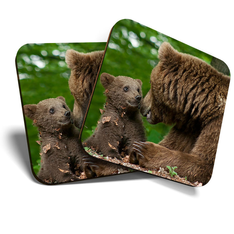 Great Coasters (Set of 2) Square / Glossy Quality Coasters / Tabletop Protection for Any Table Type - Mother Bear & Cub Baby Animals Cute