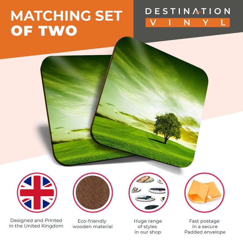 Great Coasters (Set of 2) Square / Glossy Quality Coasters / Tabletop Protection for Any Table Type - Beautiful Green Field Tree Nature Sunset