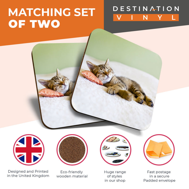 Great Coasters (Set of 2) Square / Glossy Quality Coasters / Tabletop Protection for Any Table Type - Awesome Sleeping Kitten Cat Animals