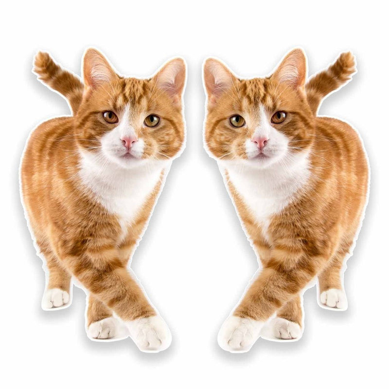 2 x Ginger Cat Vinyl Sticker