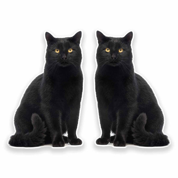 2 x Black Cat Vinyl Sticker #9641