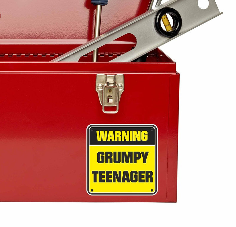 2 x Grumpy Teenager Warning Sign Vinyl Sticker