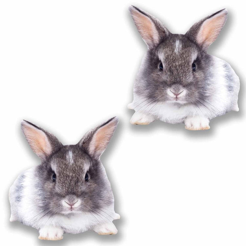 2 x Cute Rabbit Vinyl Sticker